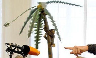 Öffentlichkeitsarbeit im Deutschen Spielzeugmuseum Öffentlichkeitsarbeit im Deutschen Spielzeugmuseum